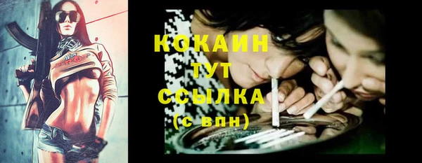 спиды Бородино
