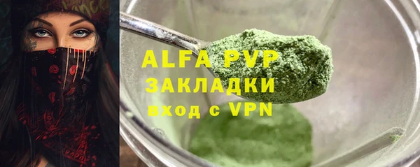 спиды Бородино