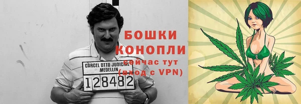 спиды Бородино
