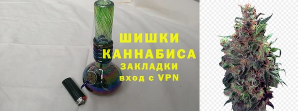 спиды Бородино