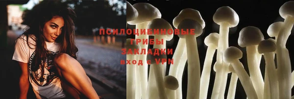 MDMA Premium VHQ Бронницы