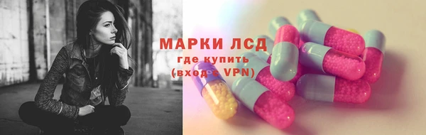 спиды Бородино