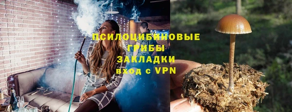спиды Бородино