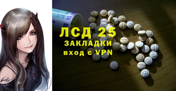 спиды Бородино